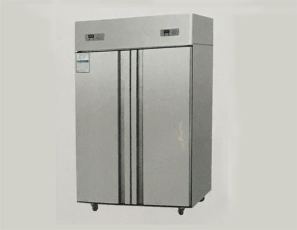 双立门冰柜
